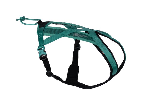 FOR DOGS | Non-stop dogwear Asia