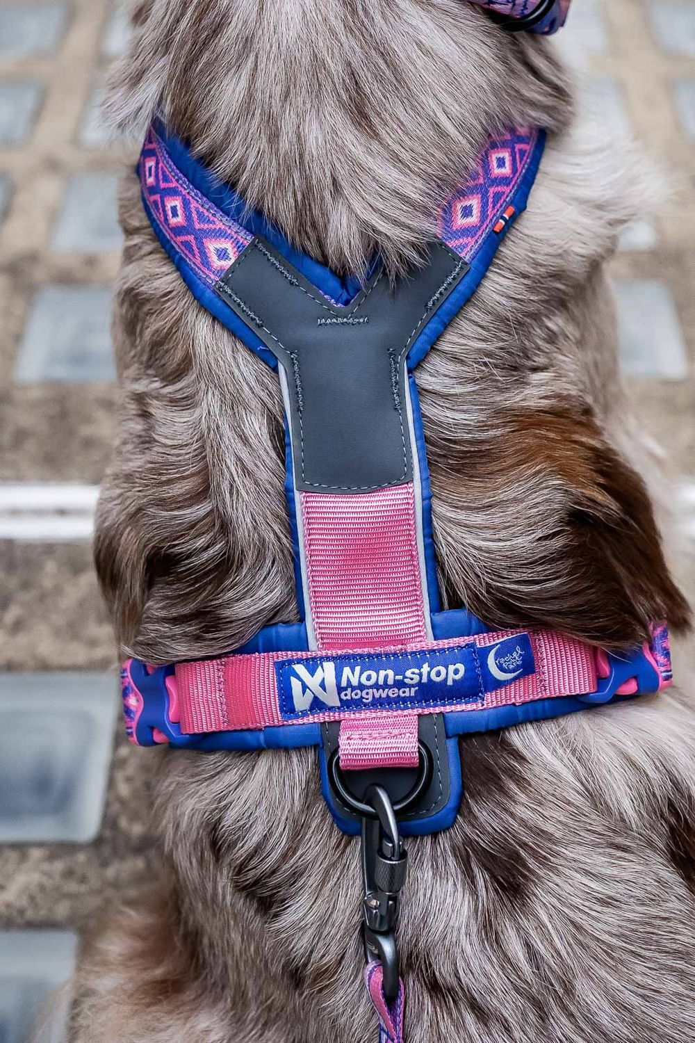 Line harness 5.0 Rachel Pohl edition | Non-stop dogwear Asia